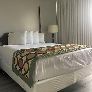 Suite mit 1 Schlafzimmer und mit Kingsize-Bett